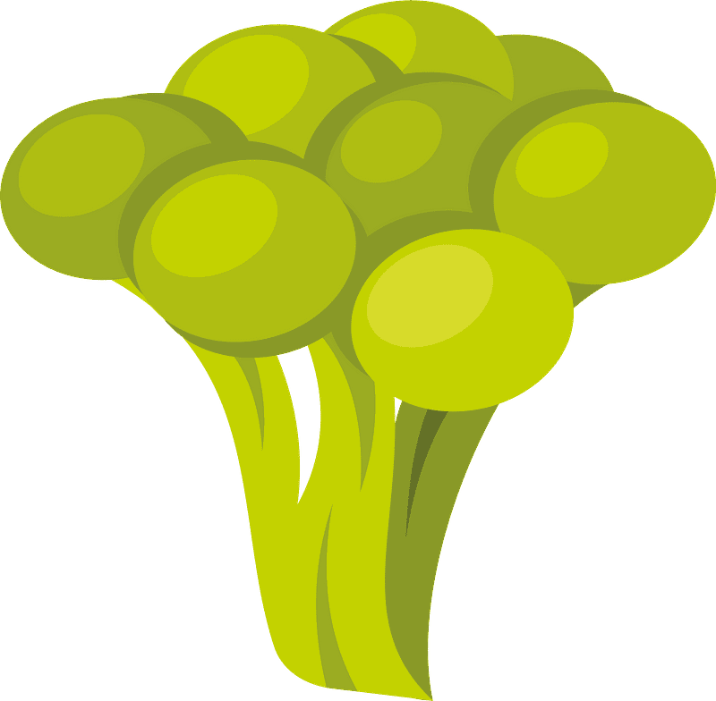 Broccoli clipart transparent
