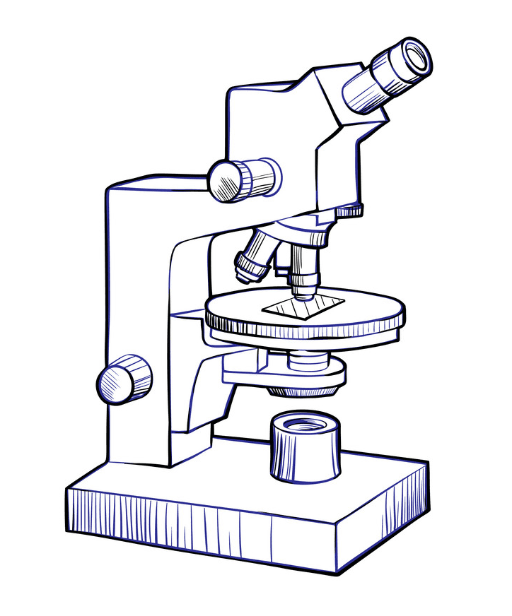 Free Microscope clipart images