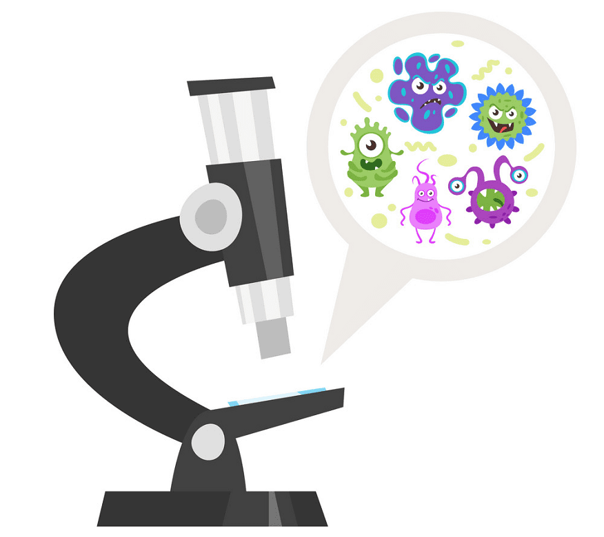 Microscope clipart for kid