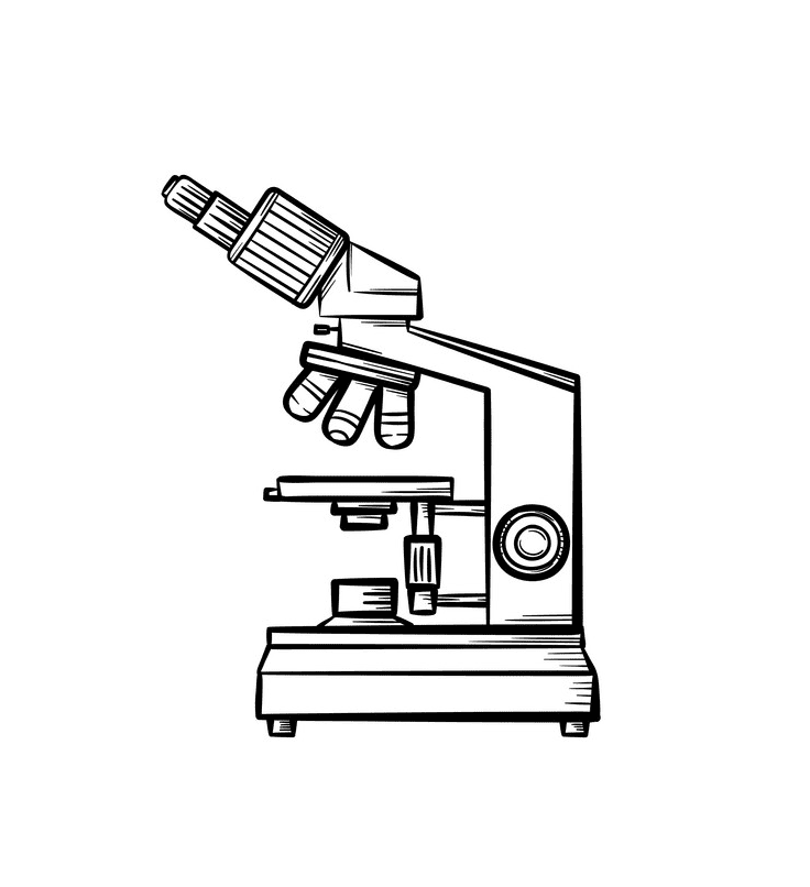 Microscope clipart free 7