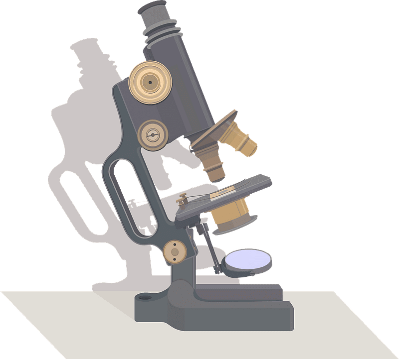 Microscope clipart transparent 7