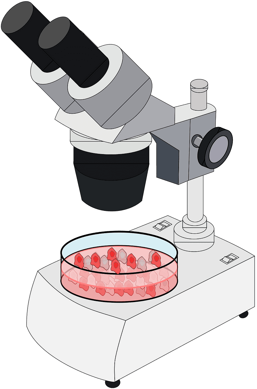 Microscope clipart transparent 9