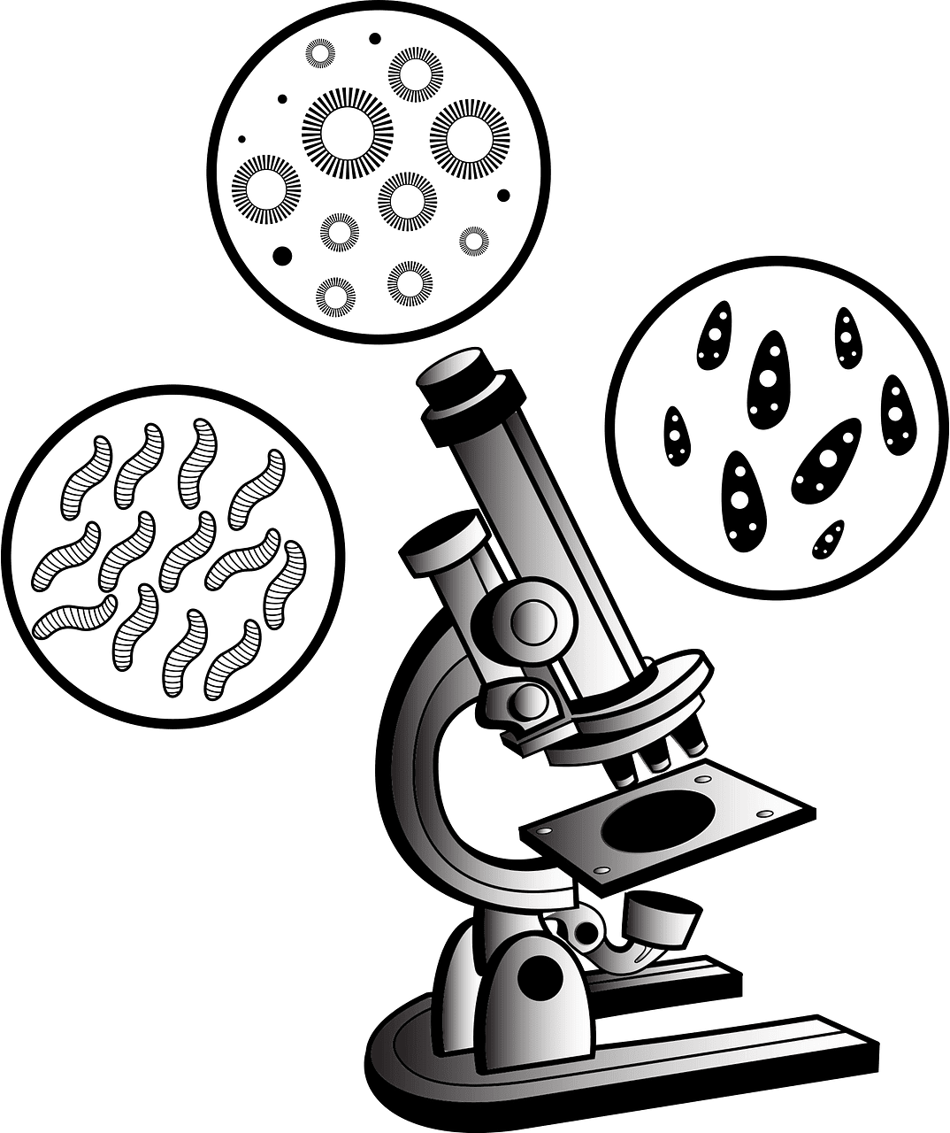 Microscope clipart transparent background 6
