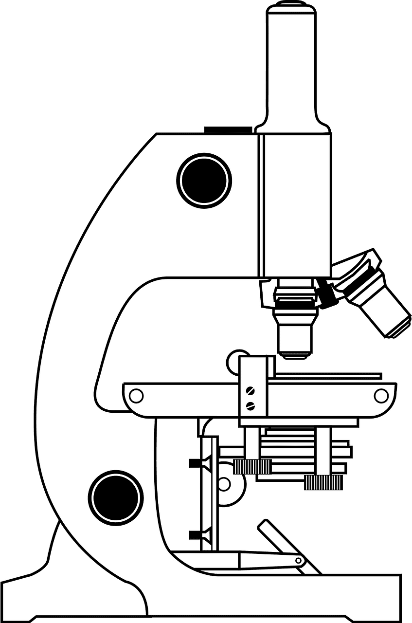 Microscope clipart transparent png