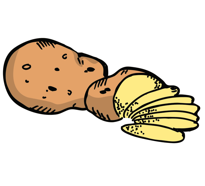 Potato clipart image