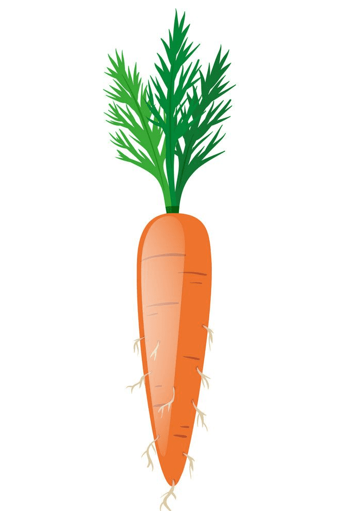 Carrot clipart free download