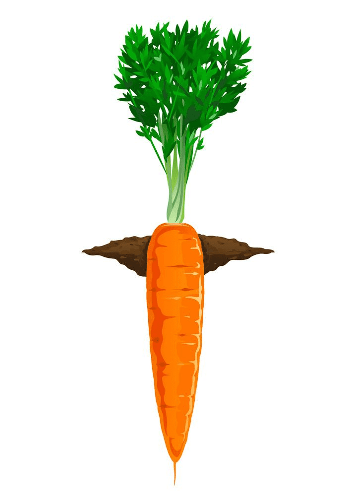Carrot clipart free for kids