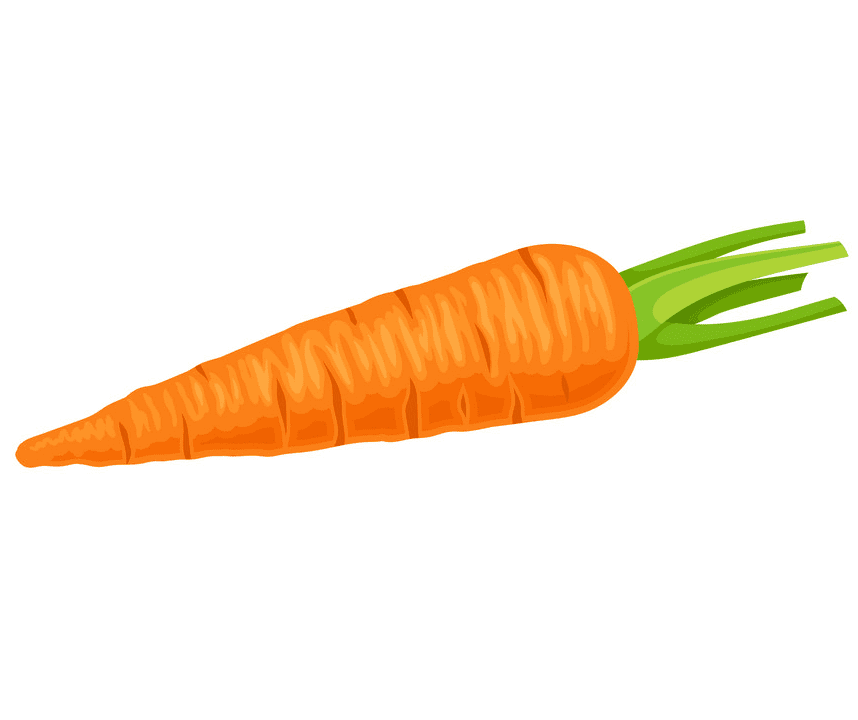 Carrot clipart free image
