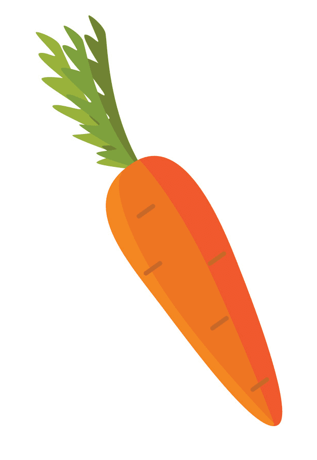Carrot clipart free picture