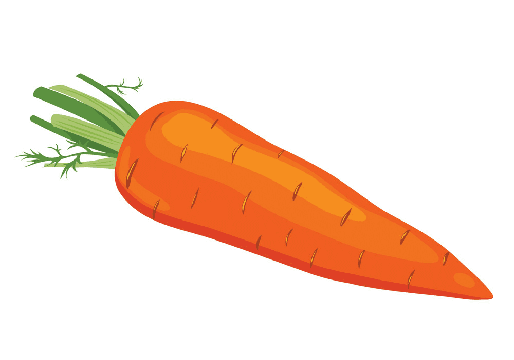 Carrot clipart free