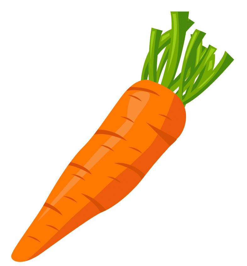 Carrot clipart images
