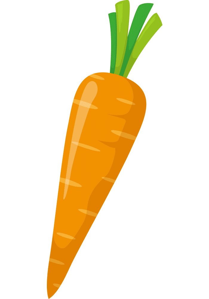 Carrot clipart picture