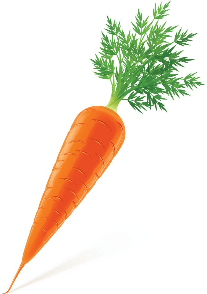 Carrot clipart png for kid