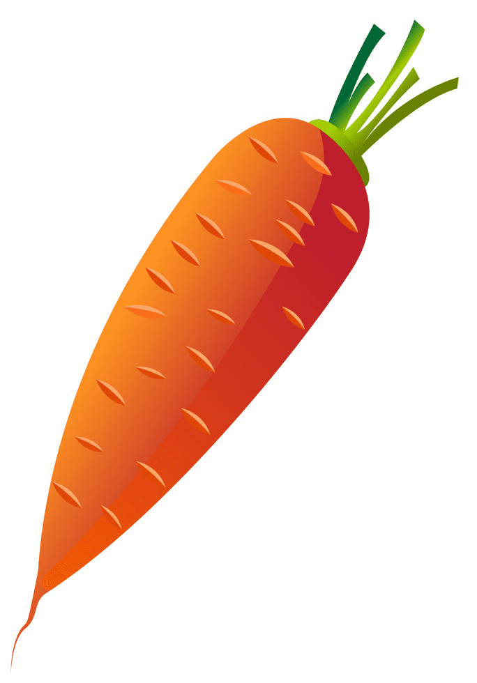 Carrot clipart png image