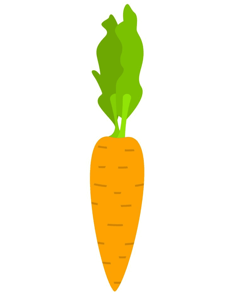 Carrot clipart png images