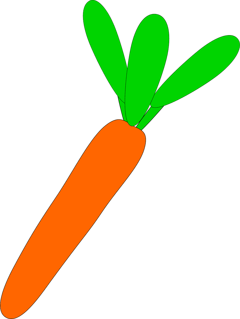 Carrot clipart transparent 7