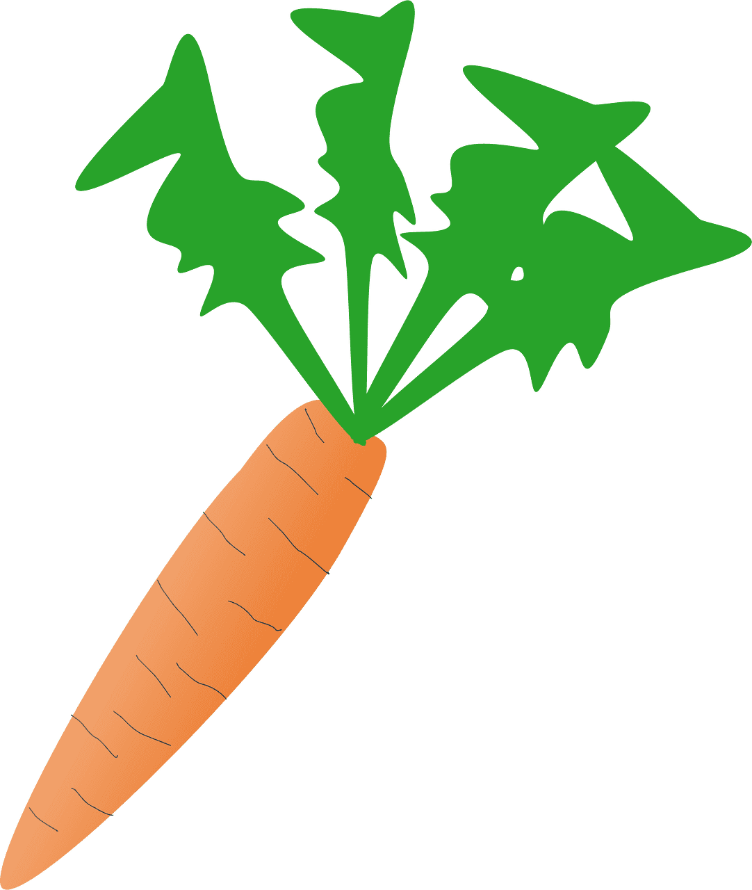 Carrot clipart transparent for kids