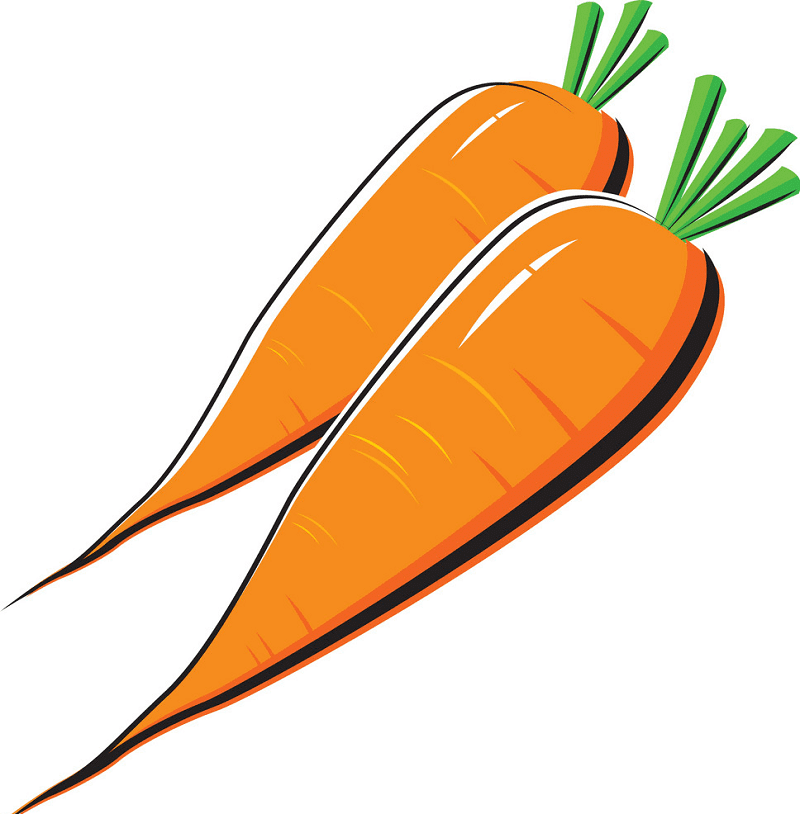 Carrots clipart free