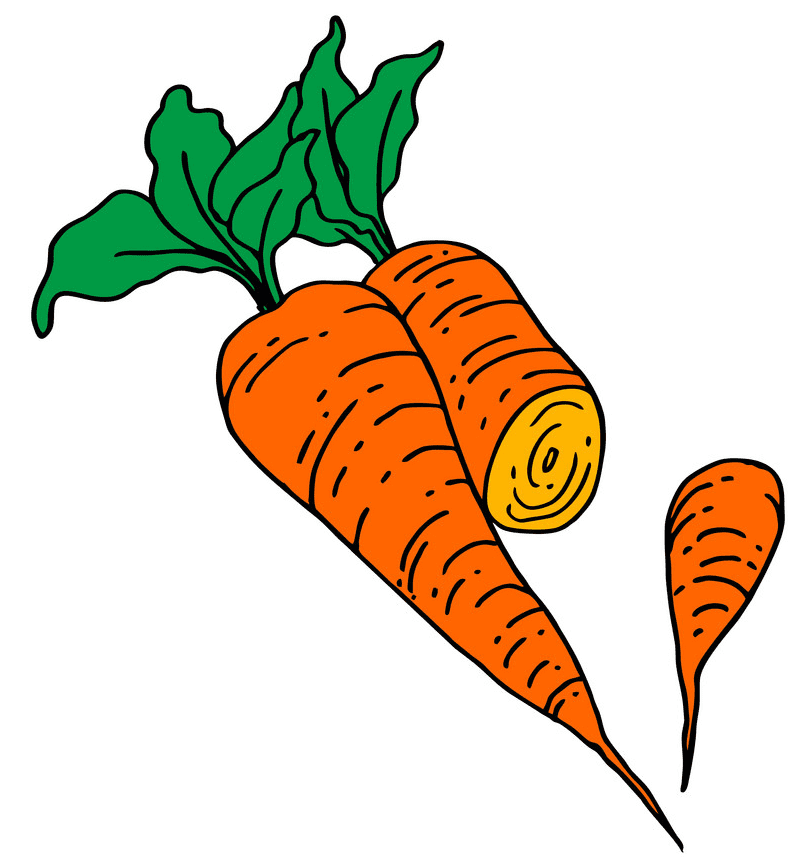 Carrots clipart image