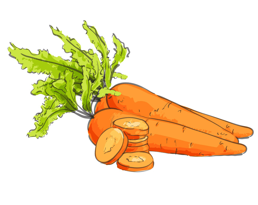 Carrots clipart png