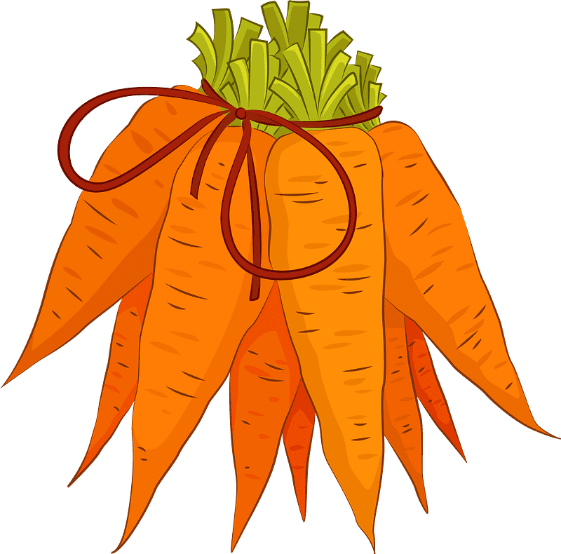 Carrots clipart transparent images