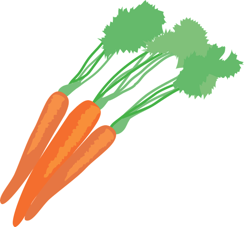 Carrots clipart transparent picture