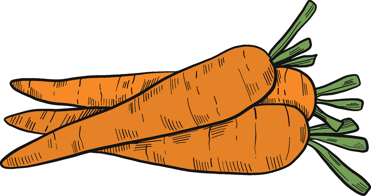 Carrots clipart transparent png