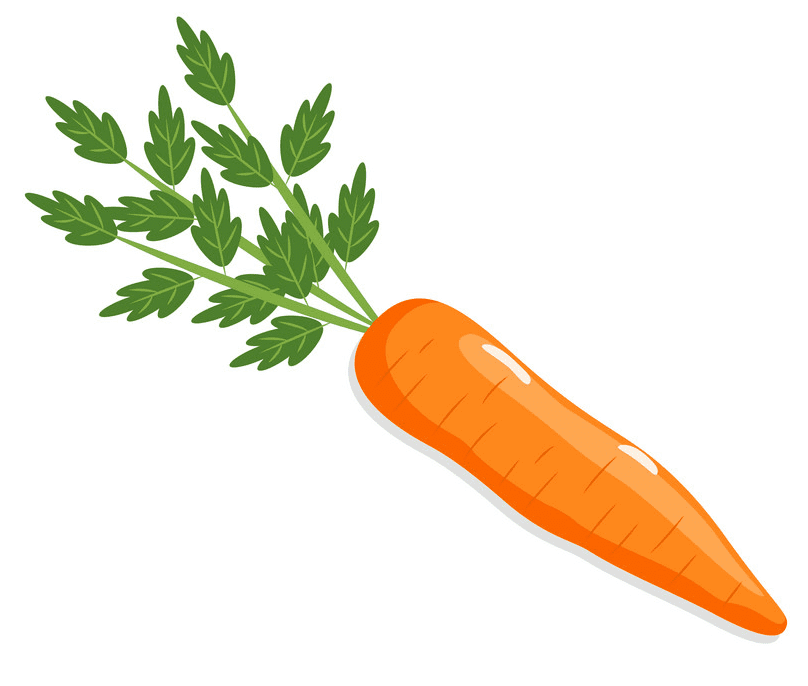 Free Carrot clipart image