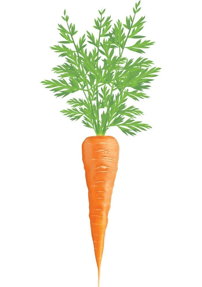 Free Carrot clipart png