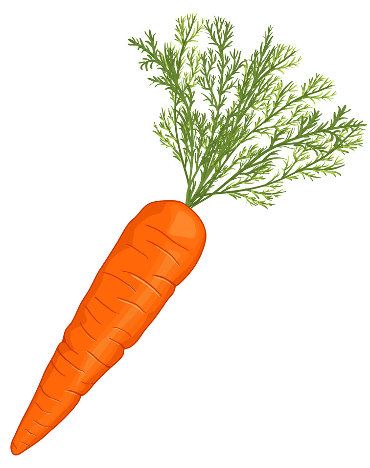 Free Carrot clipart