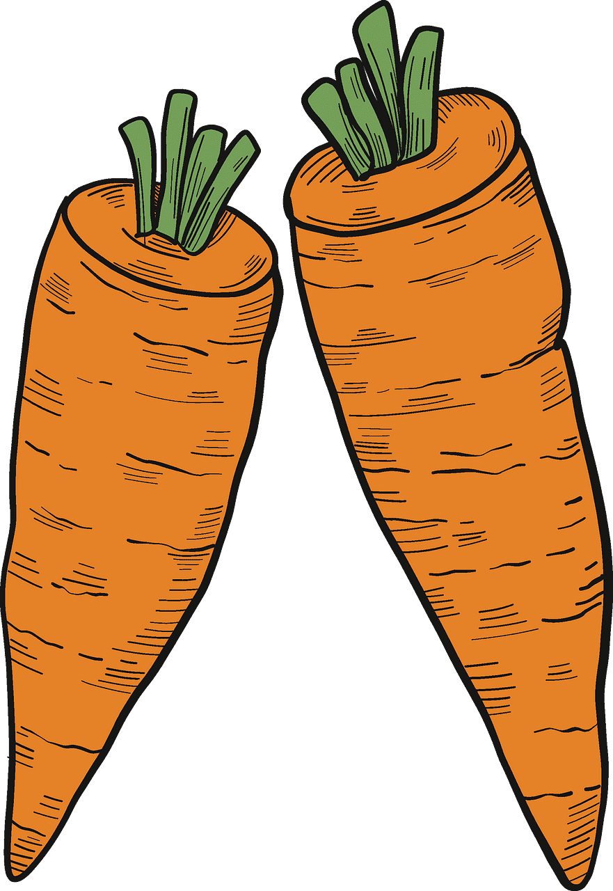 Two Carrots clipart transparent