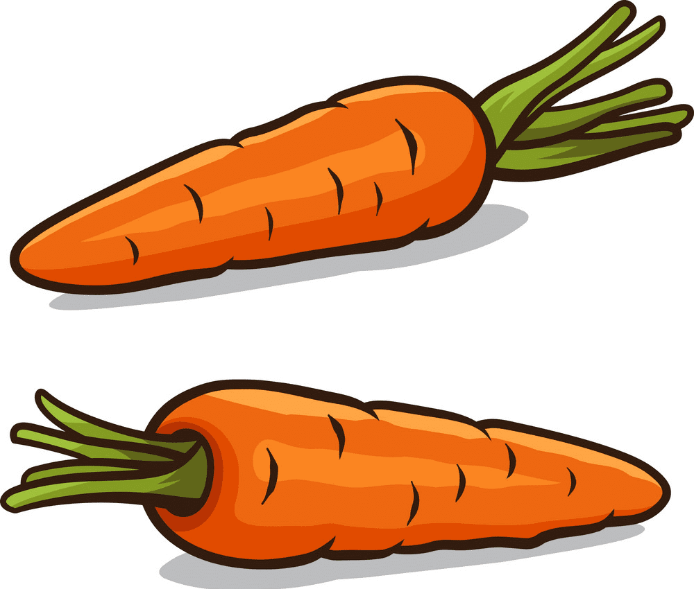 Two Carrots clipart