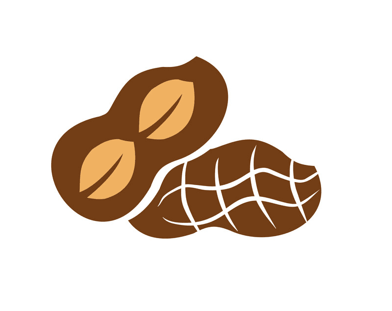 Free Peanut clipart png