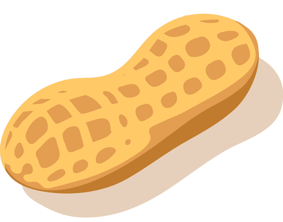 Peanut clipart for kids