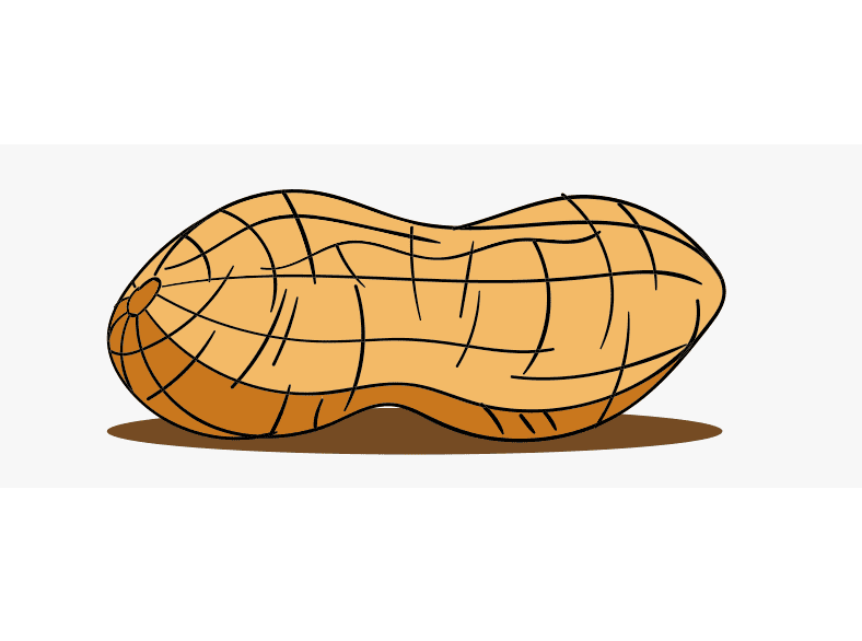 Peanut clipart free for kid