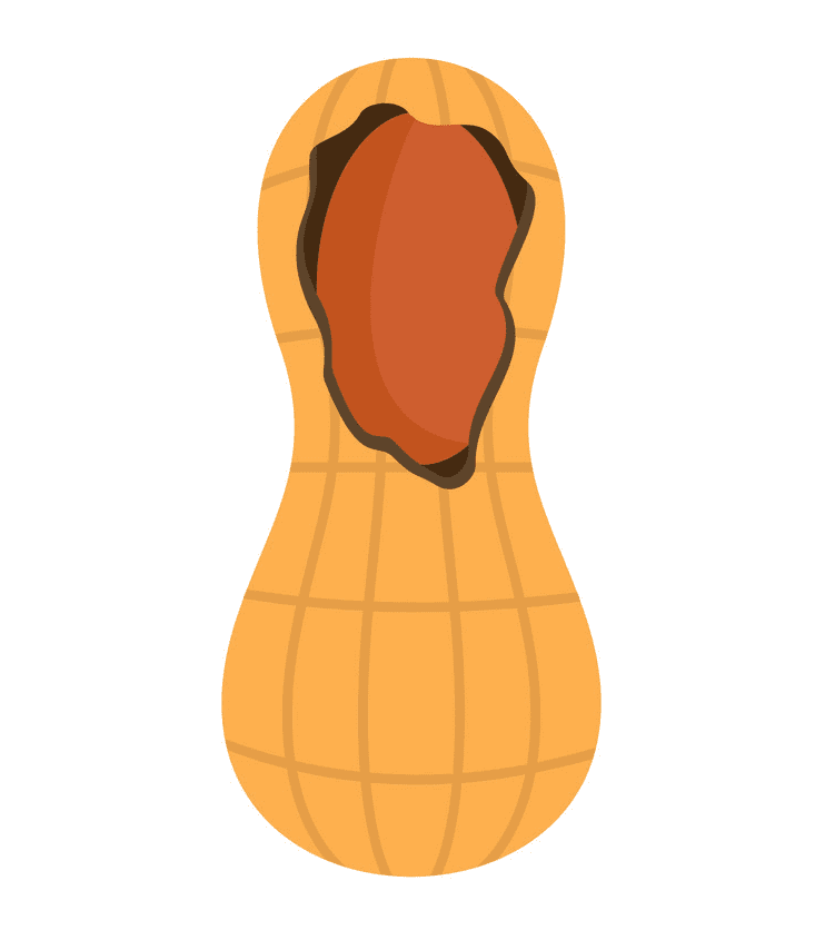Peanut clipart png for free