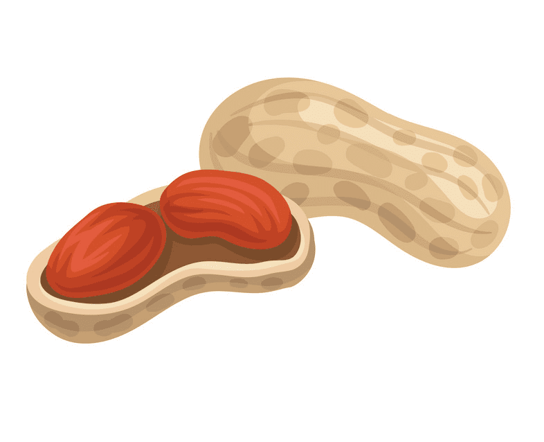 Peanut clipart png for kid