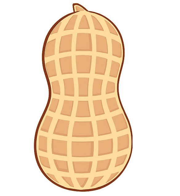 Peanut clipart png for kids