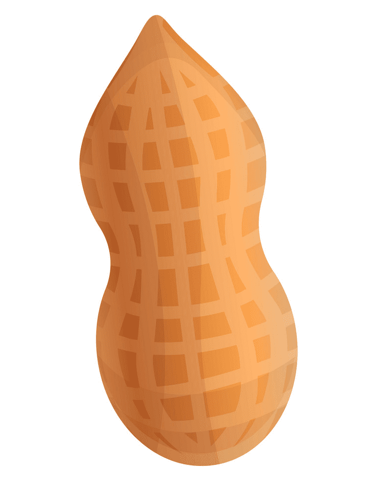 Peanut clipart png free