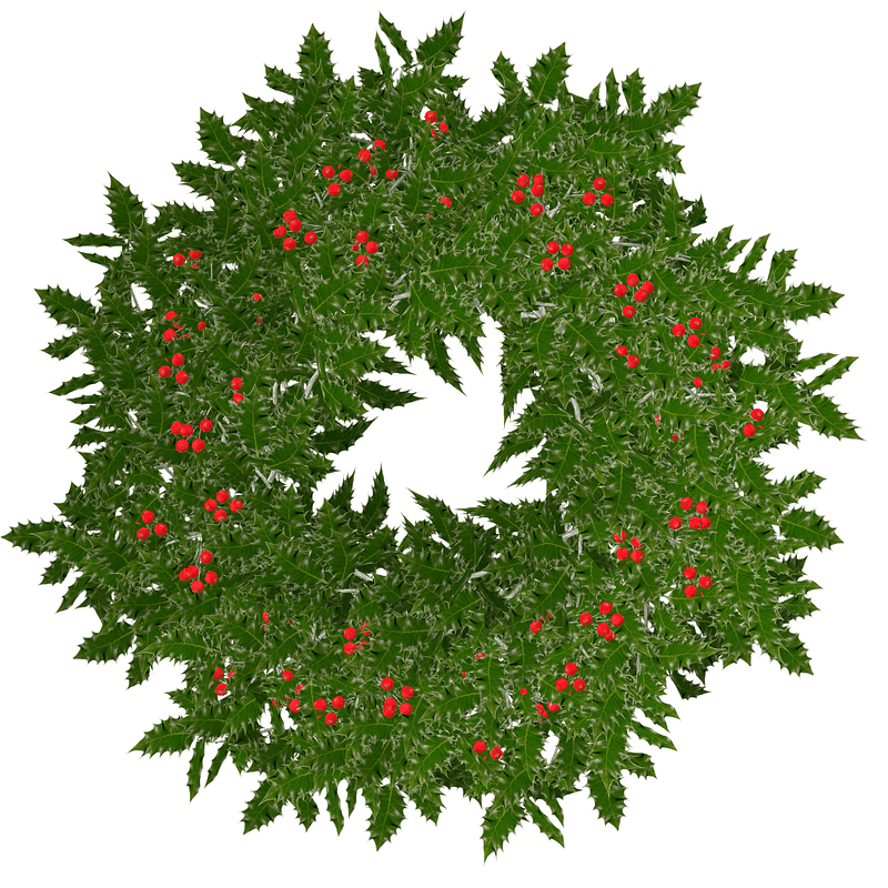 Christmas Wreath clipart transparent background 4