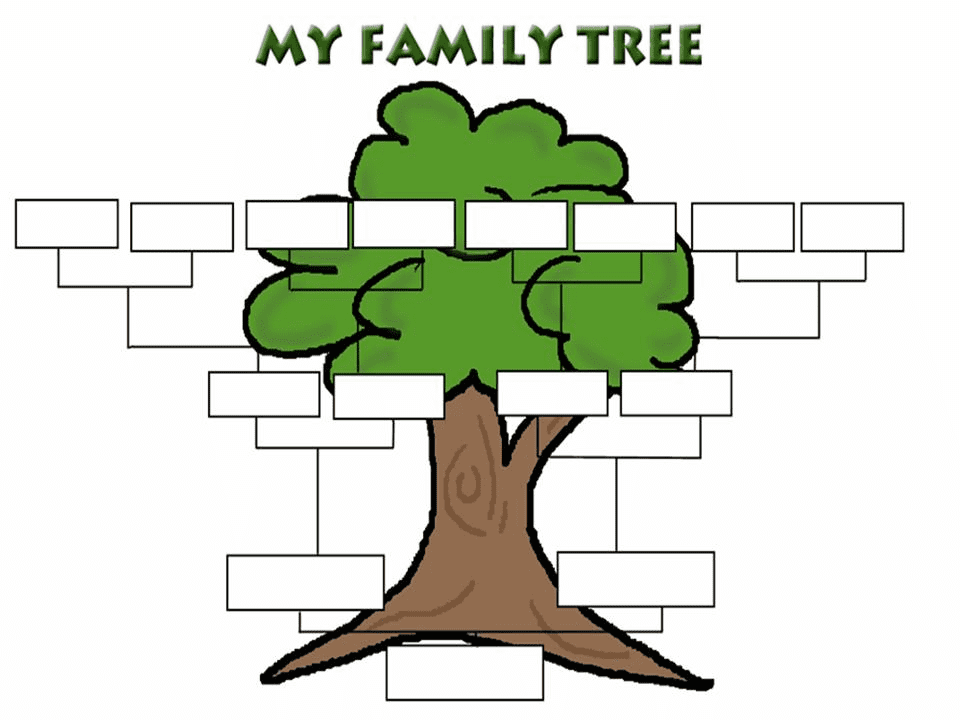 Family Tree clipart 3