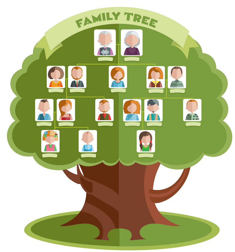 Family Tree clipart download