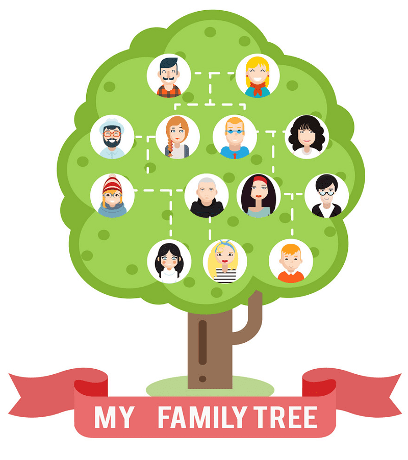 Family Tree clipart for kid