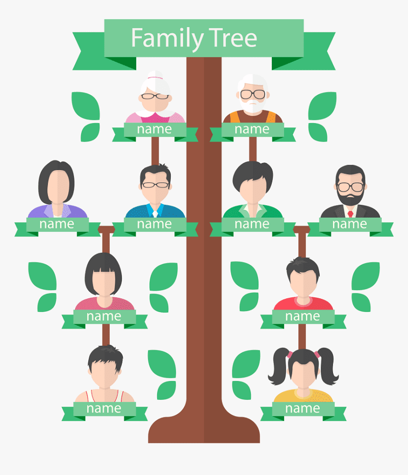 Family Tree clipart free 8