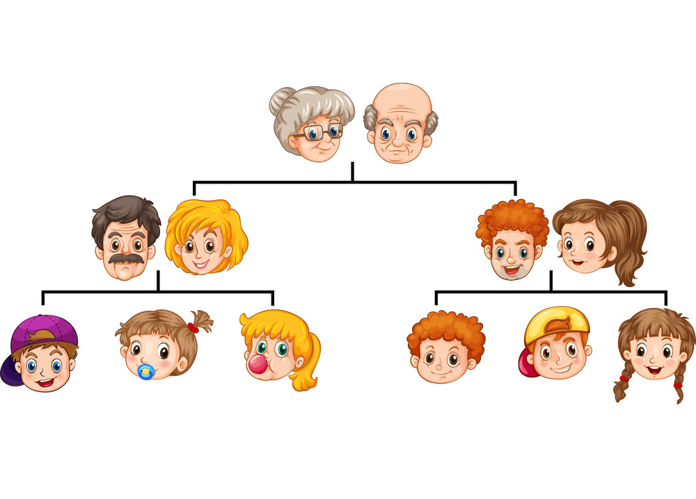 Family Tree clipart image