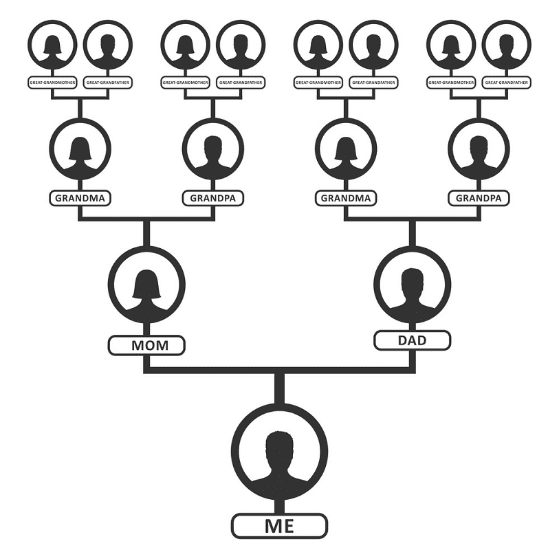 Family Tree clipart png for kid