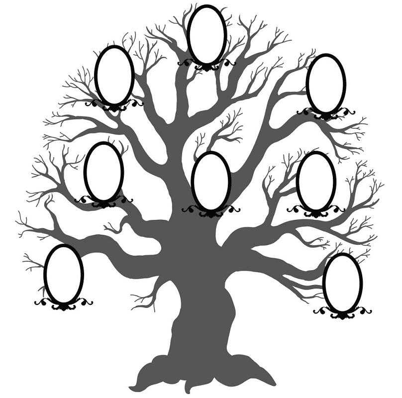Family Tree clipart png free