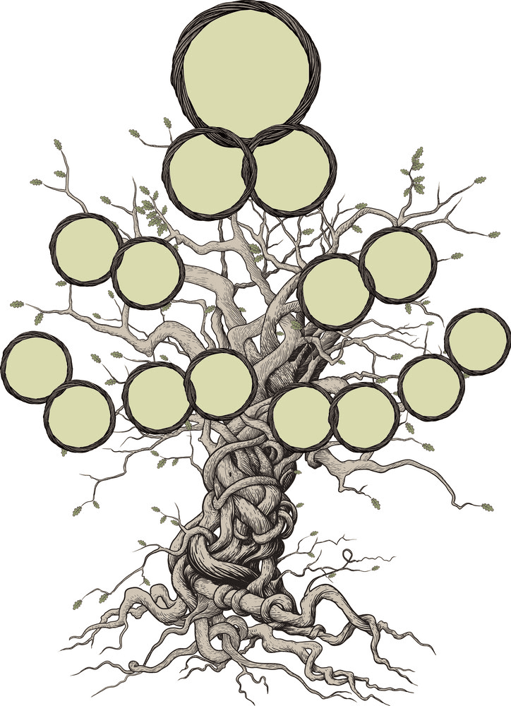 Family Tree clipart png images