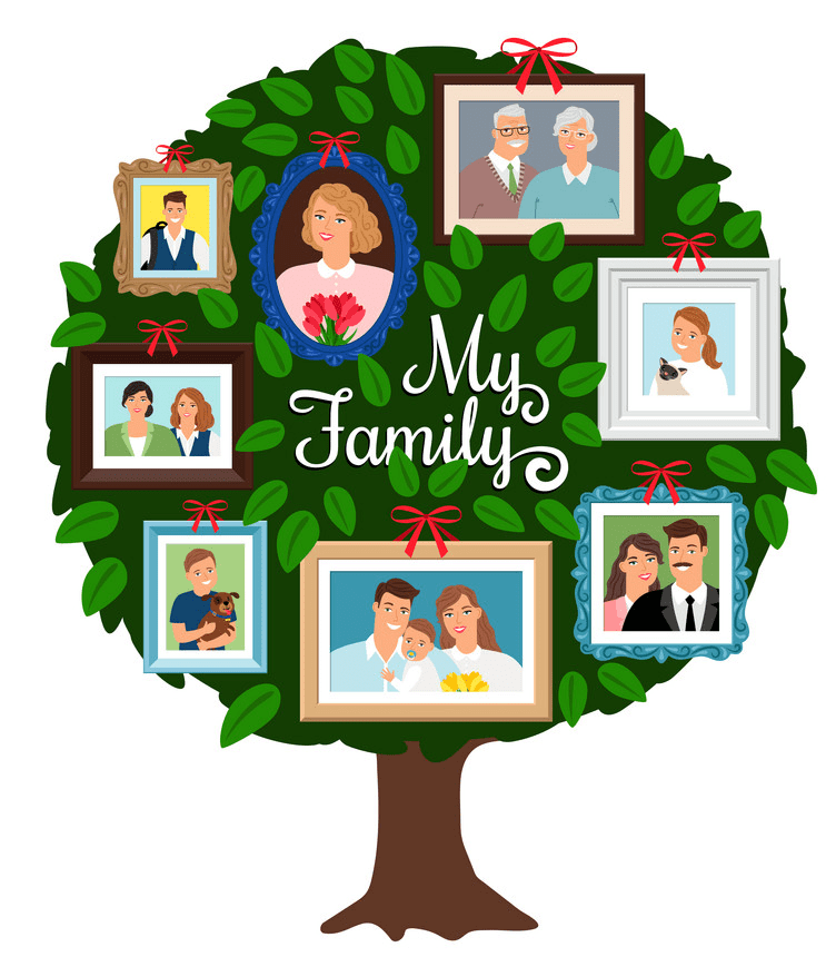Family Tree clipart png