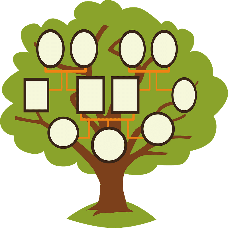 Family Tree clipart transparent for free